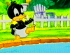 Bild: Daffy geht baden