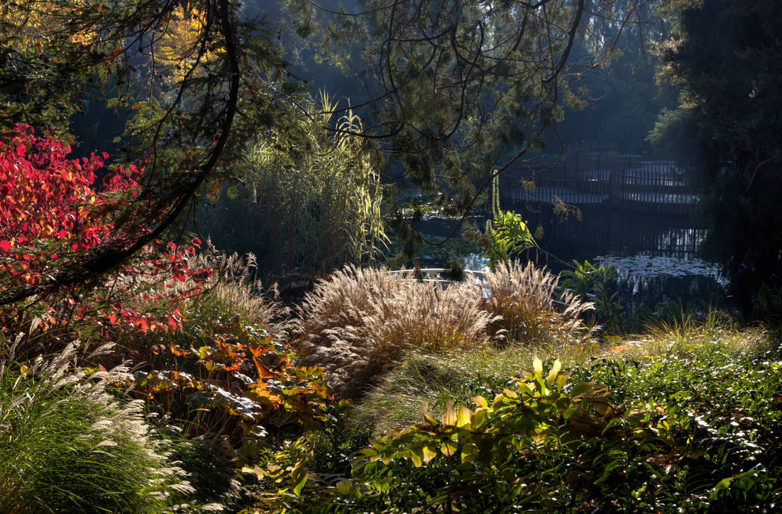 Late Autumn Colours - Royal Botanical Gardens by terrytassie