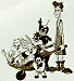 Bild: Floyd und die Looney Tunes auf einer Zeichnung